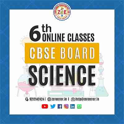 6th Science Online Tuition